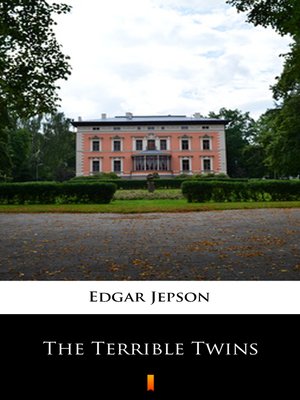 cover image of The Terrible Twins